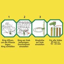 Laden Sie das Bild in den Galerie-Viewer, Anleitung zum Aufbau des Flower-fix Staudenhalters