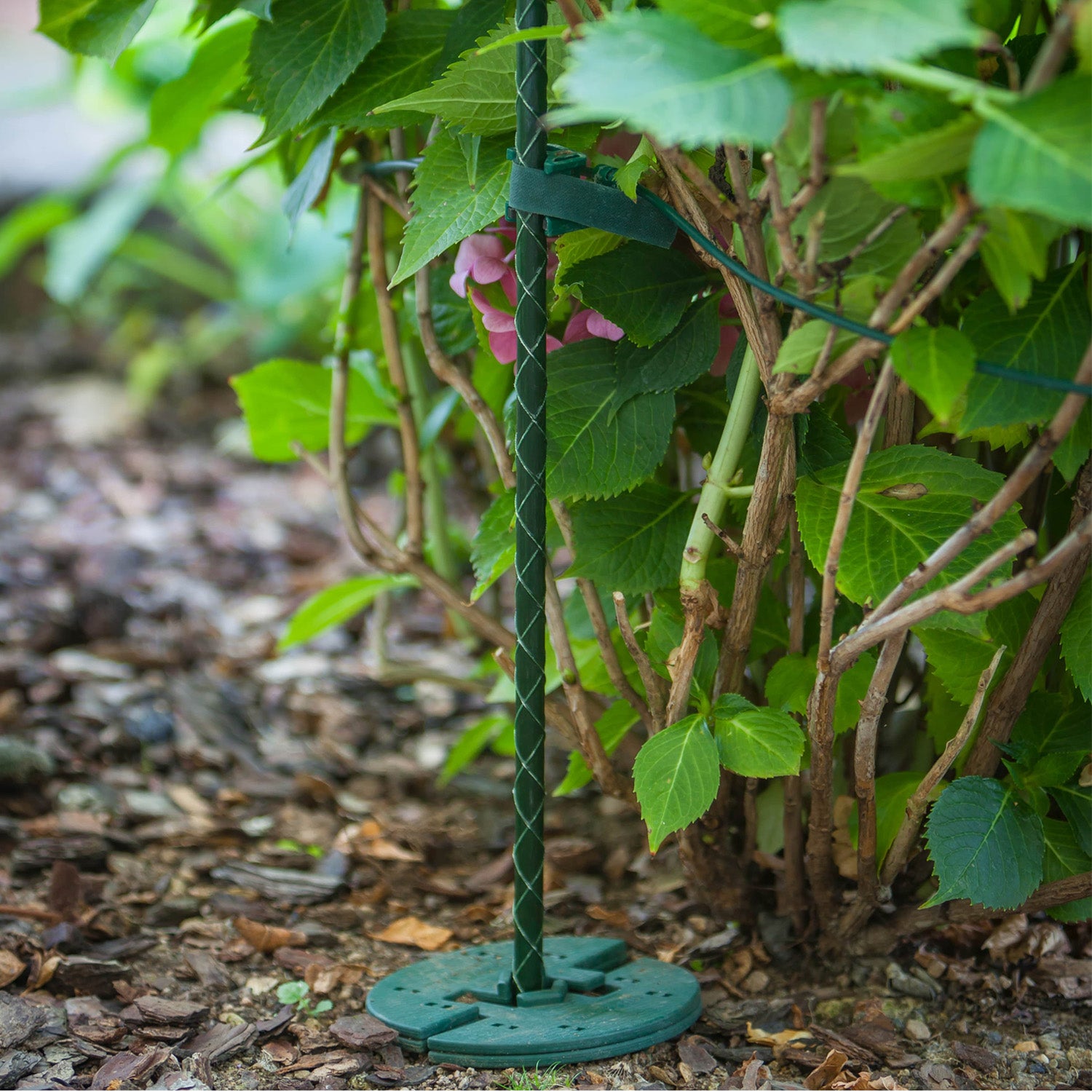 60200cm Pflanzstäbe aus Fiberglas kaufen NanoGarten